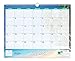 Blue Sky 2015-2016 Academic Year Wall Calendar, Endless Summer Collection, Wire-O Bound, 15 x 12 Inches (17085)
