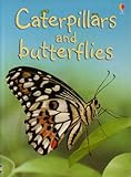 Caterpillars and butterflies