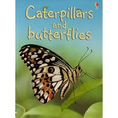 Caterpillars and Butterflies (Beginners) (Usborne Beginners)