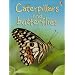 Caterpillars and Butterflies (Beginners) (Usborne Beginners)