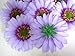 (12) BIG Silk Purple Gerbera Daisy Flower Heads , Gerber Daisies - 3.5