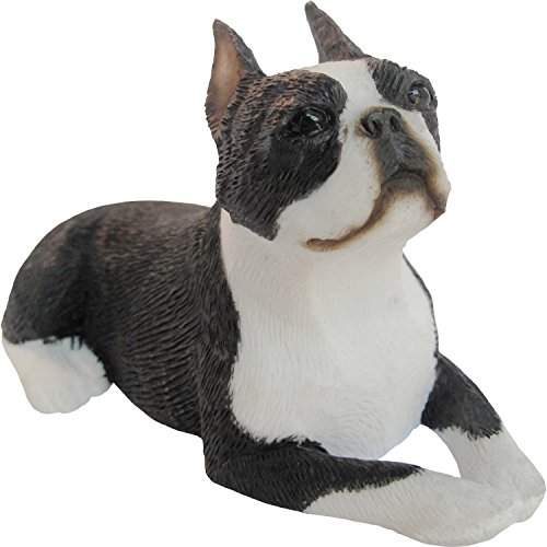 Sandicast Sculpture, Small, Lying Boston Terrier Sandicast Sculpture, Small, Lying Boston Terrier