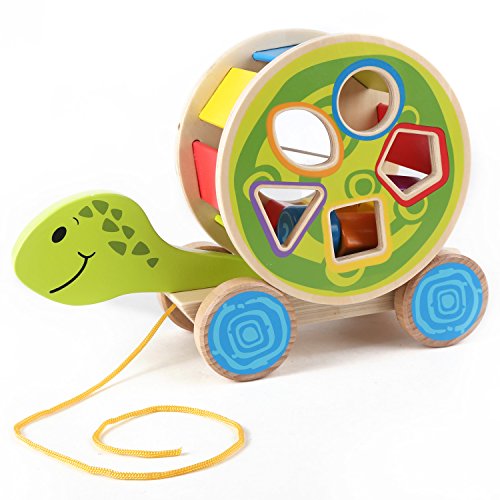 Hape Shape Sorter Turtle Wooden Pull Along Toy 5 Shape Blocks
