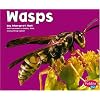 Wasps (Bugs Bugs Bugs)