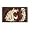Washington State Cougars