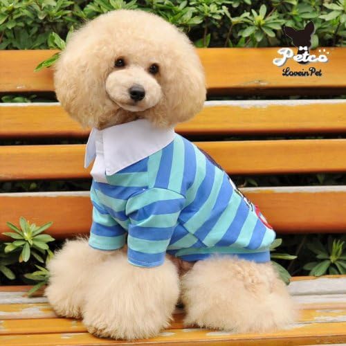 Professional Dog Deshedding Tools Comb Dog Brush Grooming Tool Premium Quality