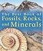 Books : The Best Book of Fossils, Rocks & Minerals (The Best Book of)