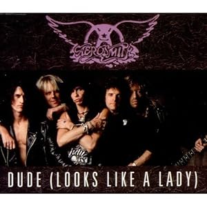 DUDE (LOOKS LIKE A LADY) (CD SINGLE) by AEROSMITH Amazon.co.uk Music