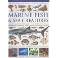 The Illustrated World Encyclopedia of Marine Fishes & Sea Creatures: A Natural History And Identification Guide To The Animal Life Of The Deep Oceans, ... The World (Illustrated World Encyclopedia)