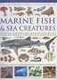 The Illustrated World Encyclopedia of Marine Fishes & Sea Creatures: A Natural History And Identification Guide To The Animal Life Of The Deep Oceans, ... Estuaries, And Shorelines Of The World