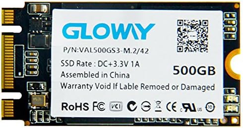Gloway SSD 500GB M.2 2242 Internal Solid State Drive
