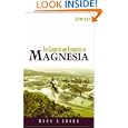 The Chemistry and Technology of Magnesia