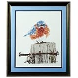 51r2lmBKJOL. SL160  Bucilla 42733 Counted Cross Stitch Kit Mad Blue Bird