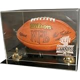 Caseworks New York Giants Super Bowl XLII Champions Football Case