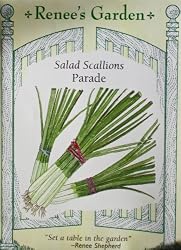 Salad Scallions Parade Variety Seeds