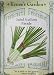 Salad Scallions Parade Variety Seeds