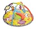 Infantino Twist and Fold Gym, Baby Animals