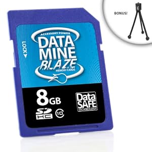 Buy Blazing High-Speed Class 10 DataMINE 8GB SDHC Flash Memory Card for PlayTouch / Playsport ZX3 / Kodak and More High Definition Pocket Video Cameras ** Includes Tripod** with best Price