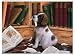 Spainiel Puppy 500pc