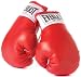Everlast Mini Boxing Gloves, RD