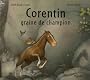 Corentin, graine de champion