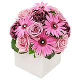 ���u���[�s���N-Jewels Flower-