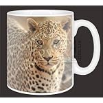Leopard mugs