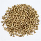 Organic Coriander Seed (Whole) (0.87 ounce) by igourmet.com