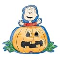 Peanuts Great Pumpkin Super Sh