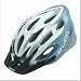 Giro Indicator Sport Bike Helmet