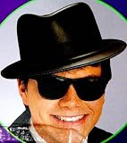 Blues Brothers Wayfarer Style Sunglasses - 80s Retro - Includes Soft Case