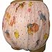 Baby Pants Pink Carousel Print Adult Pullon Plastic Pants