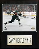 NHL Dany Heatley Minnesota Wild Player Plaque