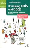 It's Raining Cats and Dogs : Et autres expressions idiomatiques anglaises