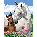 Ravensburger 28393 - Stolze Pferdemutter - Malen nach Zahlen, 30x24 cm
