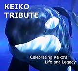 Keiko Tribute
