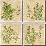 Herbs by Sara Mullen - Ceramic Accent Tile Set 4.25" x 4.25" Kitchen Backsplash