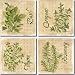 Herbs by Sara Mullen - Ceramic Accent Tile Set 4.25" x 4.25" Kitchen Backsplash
