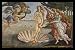 Sandro Botticelli (Birth Of Venus) Framed Art Poster Print - 11