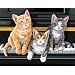 Dimensions Needlecrafts Paintworks Paint By Number, Musical Trio