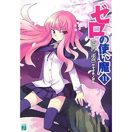 ゼロの使い魔 (11) (MF文庫J (や-01-13))