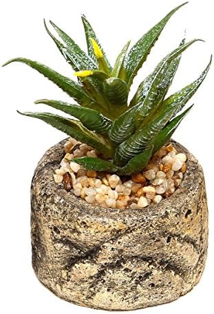 Mastone Green Artificial Faux Mini Succulent Plants Potted Flowers Artificial(aloe)