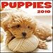 Puppies 2010 Wall Calendar