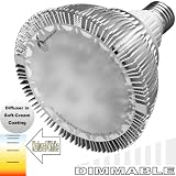 ecoBrites Ultr-Brites Dimmable 12x2w Lobbies Entrances.