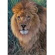 King of the Animals 1500 Piece Jigsaw Puzzle