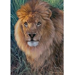 King of the Animals 1500 Piece Jigsaw Puzzle