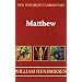 Gospel of Matthew (New Testament Commentary)