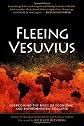 Fleeing Vesuvius: Overcoming the Risks of Economic and Environmental Collapse