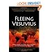 Fleeing Vesuvius: Overcoming the Risks of Economic and Environmental Collapse