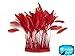 Moonlight Feather | 1 Dozen - Red Stripped Rooster Coque Tail Feathers Craft Costume Supply